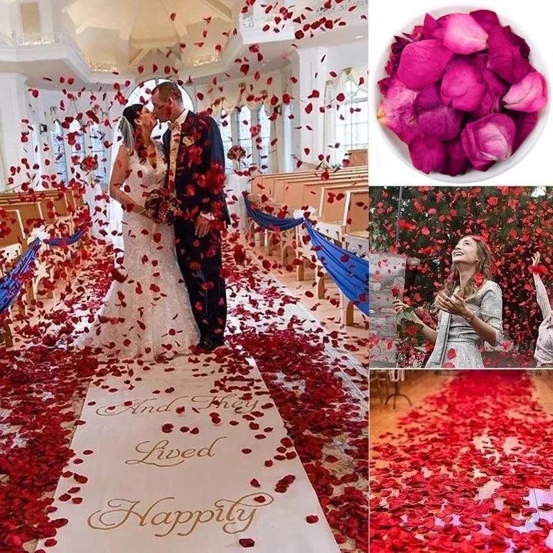 Natural Dried Rose Petals for  - Candle Making And Perfume review and price